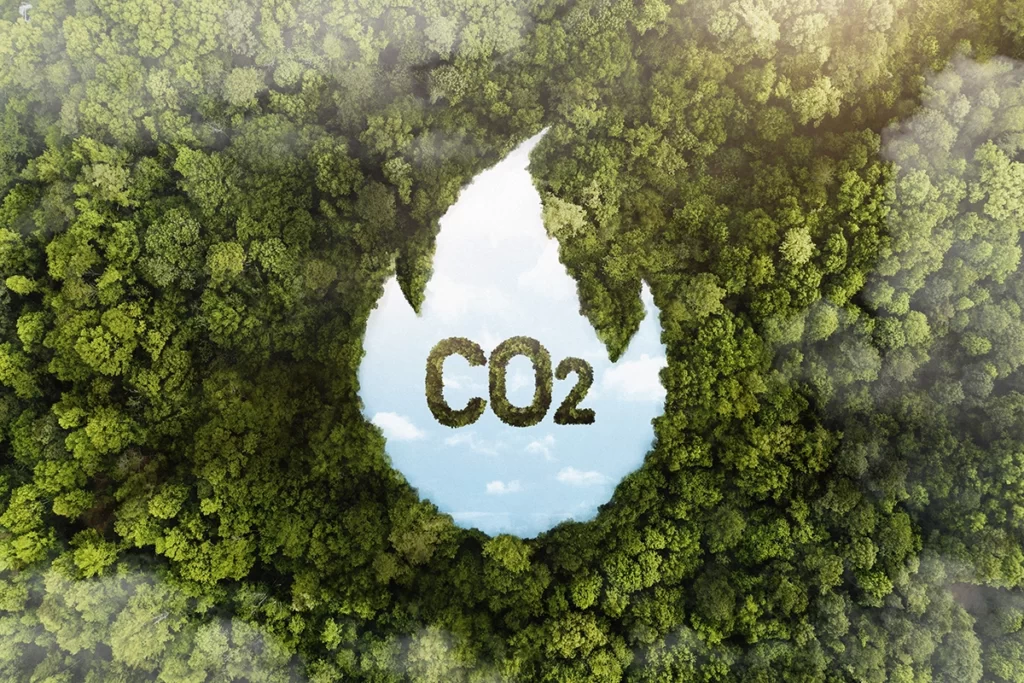 Vue d'une forêt verte avec du CO2